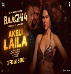 Akeli Laila (Baaghi 4) Paradox